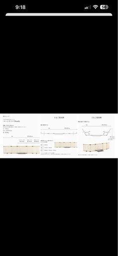 とおせんぼ倒れないゲート　子供
