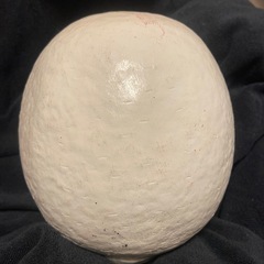 だるま白13の画像