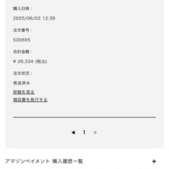 未急ぎ明日まで　
使用　MICHAEL KORS SHEILA　交渉ありの画像