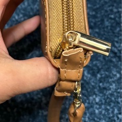 101匹わんちゃん  
カードケースの画像