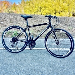 レア　Giant lifeway 折り畳み自転車　ジャイアント 稀少！GIANT LIFEWAY 20インチ 7段変速折りたたみ自転車走行可能