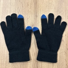 STUSSY 手袋の画像