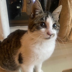 3ヶ月の女の子❤️