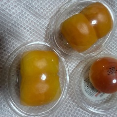 パンライトの画像