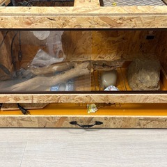 爬虫類ケージの画像