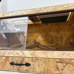 爬虫類ケージの画像