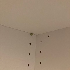 コーナーラック　角収納　デッドスペースの画像