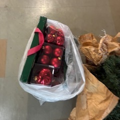 クリスマスツリーの画像