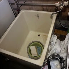 １月５日に処分します。浴槽 の画像