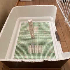 犬トイレトレーの画像