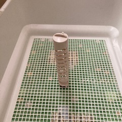 犬トイレトレーの画像