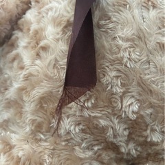 くまさん大きめの画像