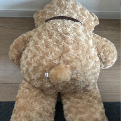 くまさん大きめの画像