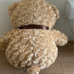 くまさん大きめの画像