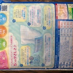 マナーウェア　ペット用品の画像