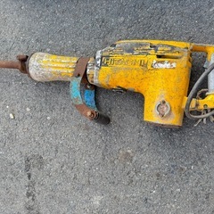 大型ハマドリルの画像