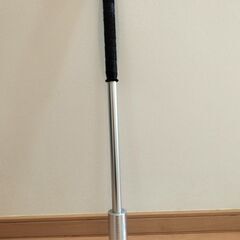 素振り用バット【フィールドフォース】の画像