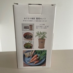 【新品】おうちで根菜栽培　にんじん　栽培セット　ガーデニングの画像