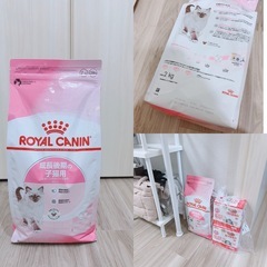 PET MARVEL  Magic Cube 自動トイレ 猫の画像