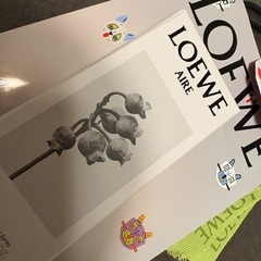 ロエベ香水　AILEの画像