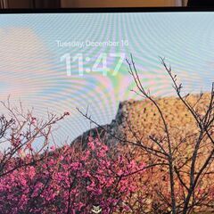 27 inch HP モニターの画像