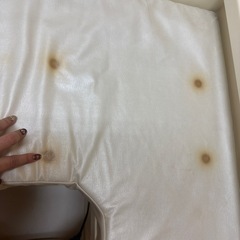 よもぎ蒸しの画像