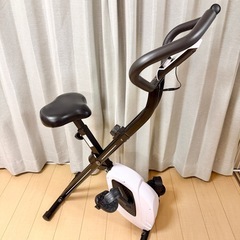 良品 ティゴラ TIGORA フィットネスバイク TR FB003-XB BK ブラック 静音 マグネット式 折りたたみの画像
