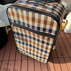 キャリーバッグの画像