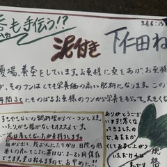 下仁田ネギ　残り18箱の画像