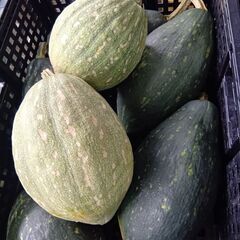 かぼちゃの画像