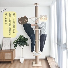 【新品未使用】木製キャットタワー　突っ張り式の画像