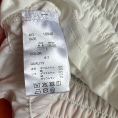 半袖TシャツLサイズの画像