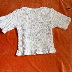 半袖TシャツLサイズの画像