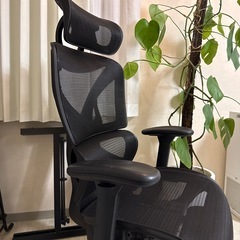 cofo chair pro  オフィスチェア
の画像