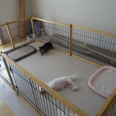 ペットサークル2台の画像
