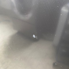 eangle ノンフロン冷凍冷蔵庫 ANG-RE151-A1 2020年製 黒 ブラック 2ドアの画像