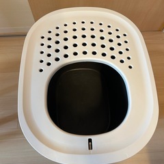猫　トイレ
の画像