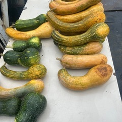 一つ200円の画像