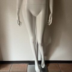マネキン　店舗使用品　レディース　②の画像