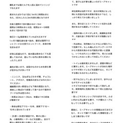 ミーアキャットの赤ちゃん生まれました❣️《完売。また産まれたら更新します》 - 地元のお店