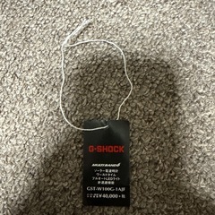 G-SHOCK GST-W100Gの画像