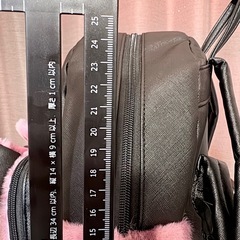 ミニーちゃん ミニリュック キッズの画像