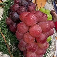 はじめまして！