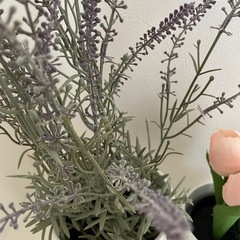 IKEA 造花　２つセットの画像