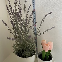 IKEA 造花　２つセットの画像