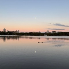 よい1日のスタートを　朝活　in大濠公園☀️