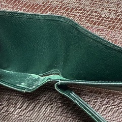 LOUIS VUITTON ルイヴィトン　タイガ　折り財布　の画像