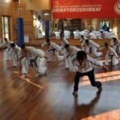 急告‼️新年の初級班スタート！2026年から武術を始めてみたい方への朗報！の画像