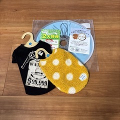 犬用　エリザベスカラーと服