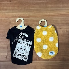 犬用　エリザベスカラーと服の画像